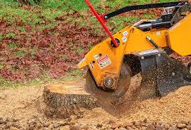 Organic Lawn Care Solutions in Versailles, KY